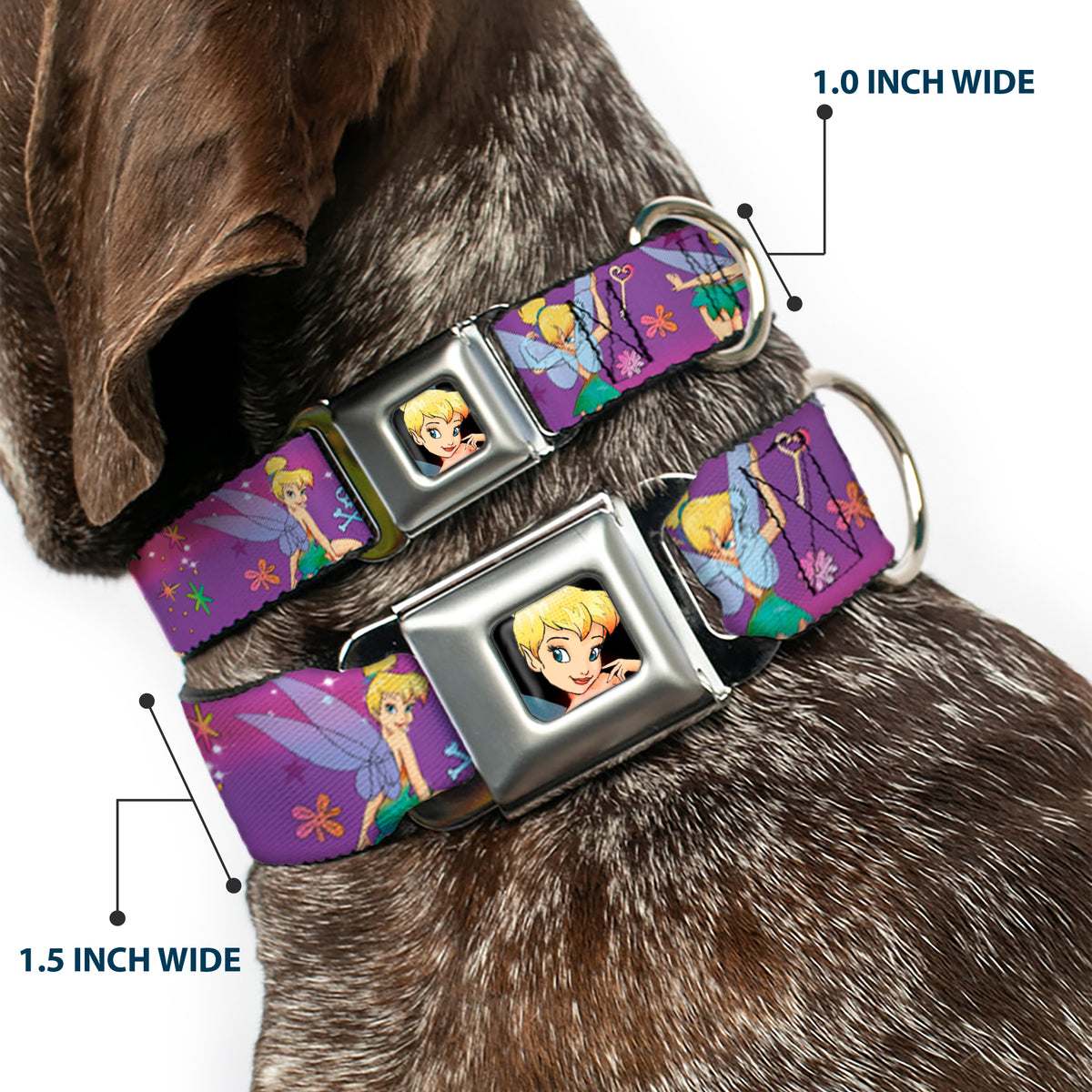 Tinker Bell CLOSE-UP Full Color Seatbelt Buckle Collar - Tinker Bell Poses/Flowers/Stars/Skull Purple Dog Collars Seatbelt Buckle Disney
