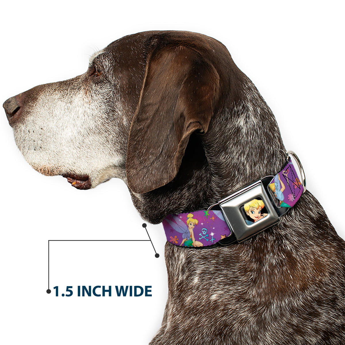 Tinker Bell CLOSE-UP Full Color Seatbelt Buckle Collar - Tinker Bell Poses/Flowers/Stars/Skull Purple Dog Collars Seatbelt Buckle Disney