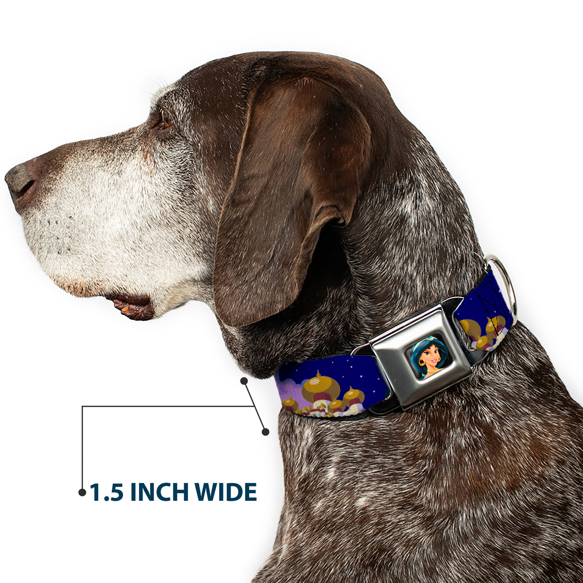 Jasmine CLOSE-UP Full Color Seatbelt Buckle Collar - Aladdin & Jasmine Magic Carpet Ride Scenes Dog Collars Seatbelt Buckle Disney