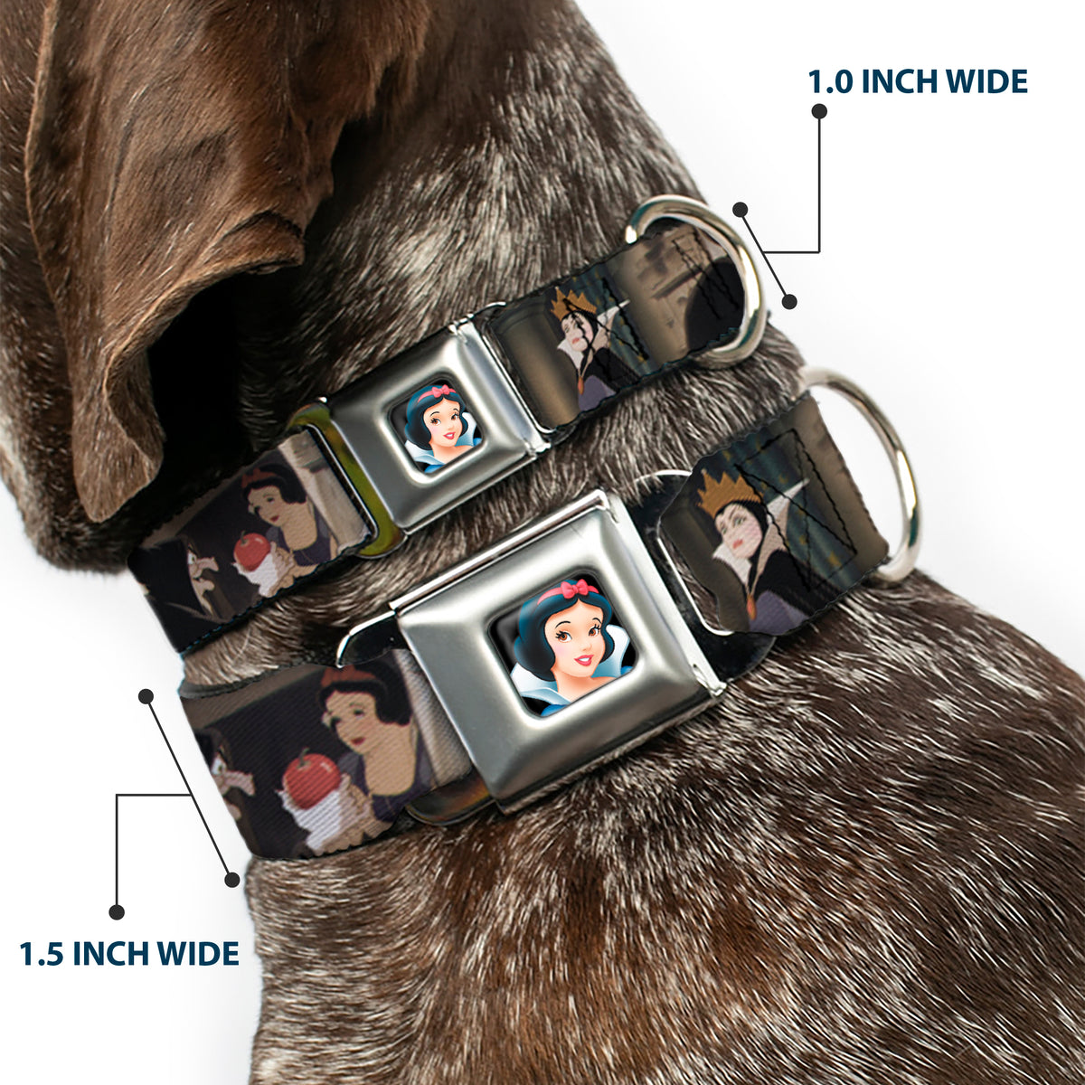 Snow White Full Color Black Seatbelt Buckle Collar - Snow White Scenes Dog Collars Seatbelt Buckle Disney
