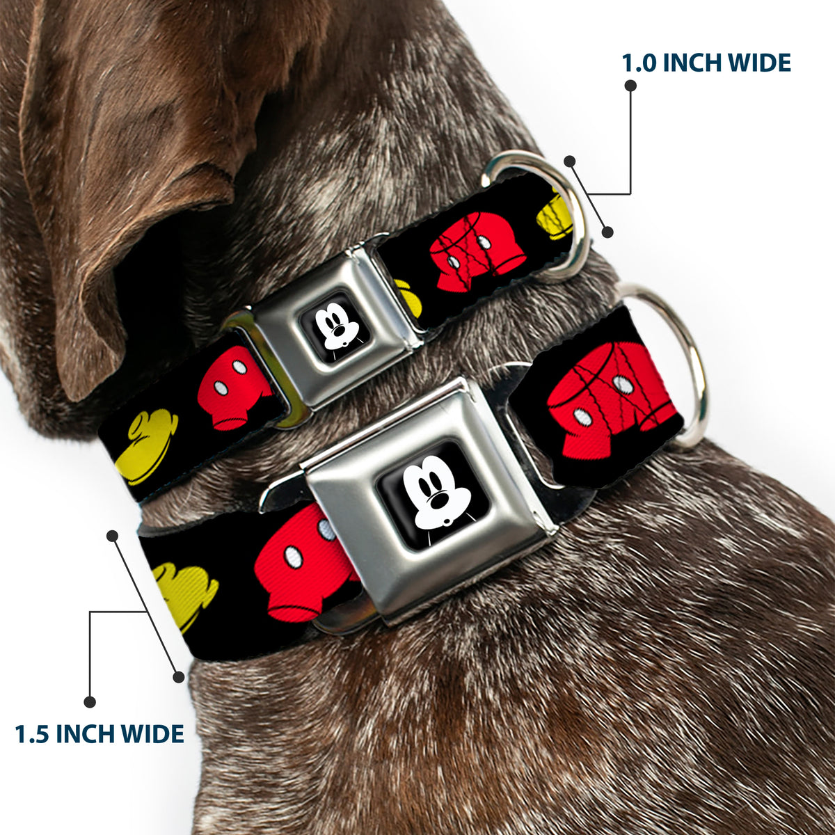 Mickey Mickey Mouse Expression4 Full Color Black/White Seatbelt Buckle Collar - Mickey Mouse Shorts and Shoes Black/Red/Yellow Dog Collars Seatbelt Buckle Disney