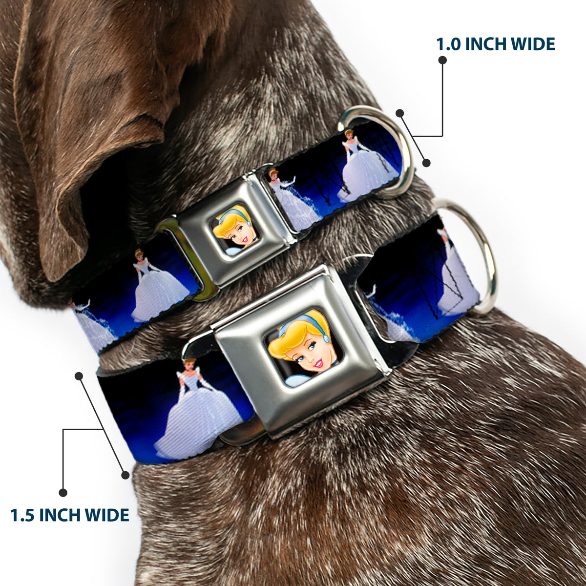 Cinderella CLOSE-UP Full Color Seatbelt Buckle Collar - Cinderella Transformation Blue Fade Dog Collars Seatbelt Buckle Disney