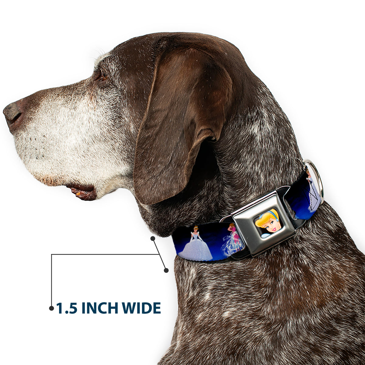 Cinderella CLOSE-UP Full Color Seatbelt Buckle Collar - Cinderella Transformation Blue Fade Dog Collars Seatbelt Buckle Disney