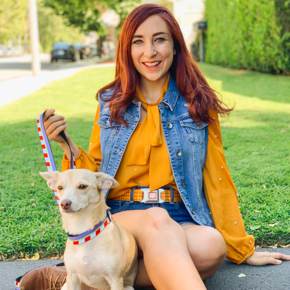 Toy Story Woody Cowboy Buckle Logo Full Color Golds Seatbelt Buckle Collar - Toy Story Woody Bounding Plaid Shirt Gold/Red Dog Collars Seatbelt Buckle Disney