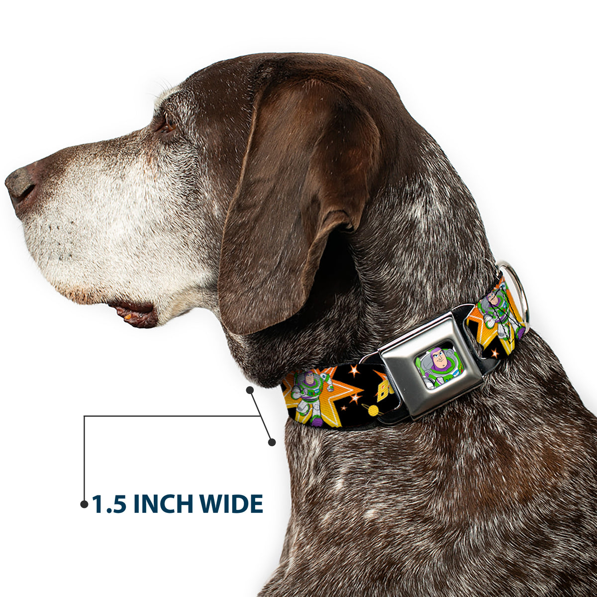 Toy Story Buzz Lightyear Running Pose Full Color Black Seatbelt Buckle Collar - Toy Story BUZZ LIGHTYEAR Running Pose/Stars Black/Orange/Yellow Dog Collars Seatbelt Buckle Disney