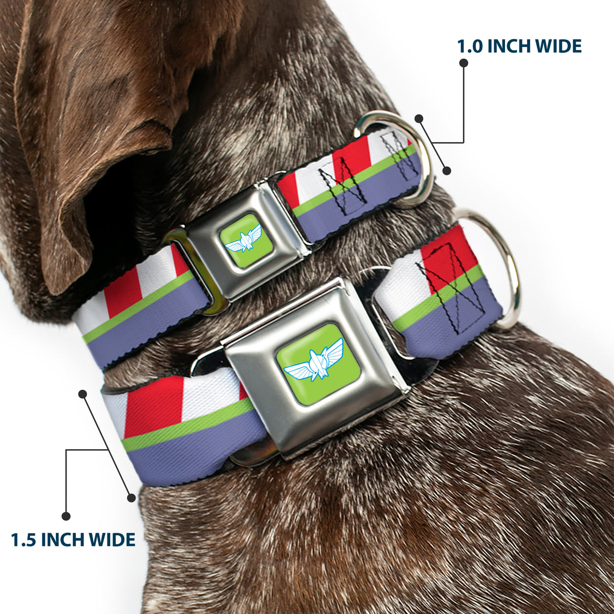 Toy Story Buzz Lightyear Space Ranger Wings Icon Full Color Green/Blue/White Seatbelt Buckle Collar - Toy Story Buzz Lightyear Space Ranger Logo/Striping Red/White/Green/Purple Dog Collars Seatbelt Buckle Disney