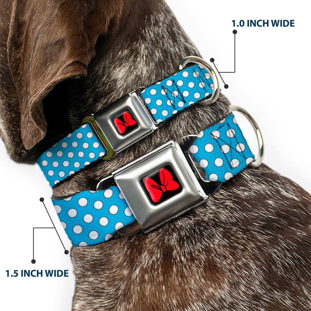 Dog Collar DYYR-Minnie Mouse Bow Full Color Black/Red - Minnie Mouse Dots Blue/Black/White Dog Collars Seatbelt Buckle Disney