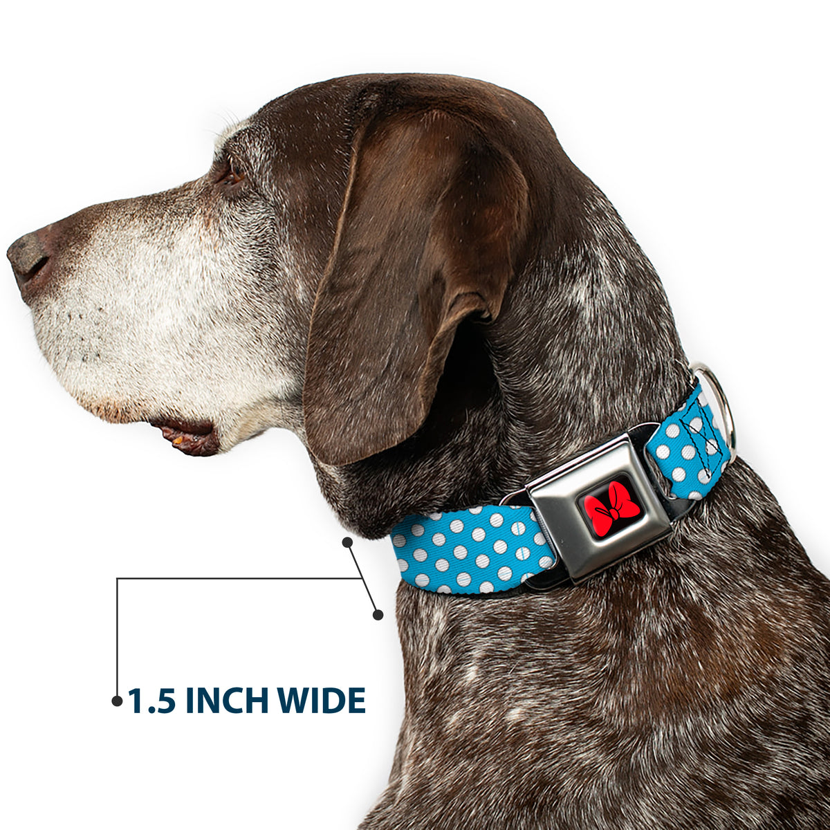 Dog Collar DYYR-Minnie Mouse Bow Full Color Black/Red - Minnie Mouse Dots Blue/Black/White Dog Collars Seatbelt Buckle Disney