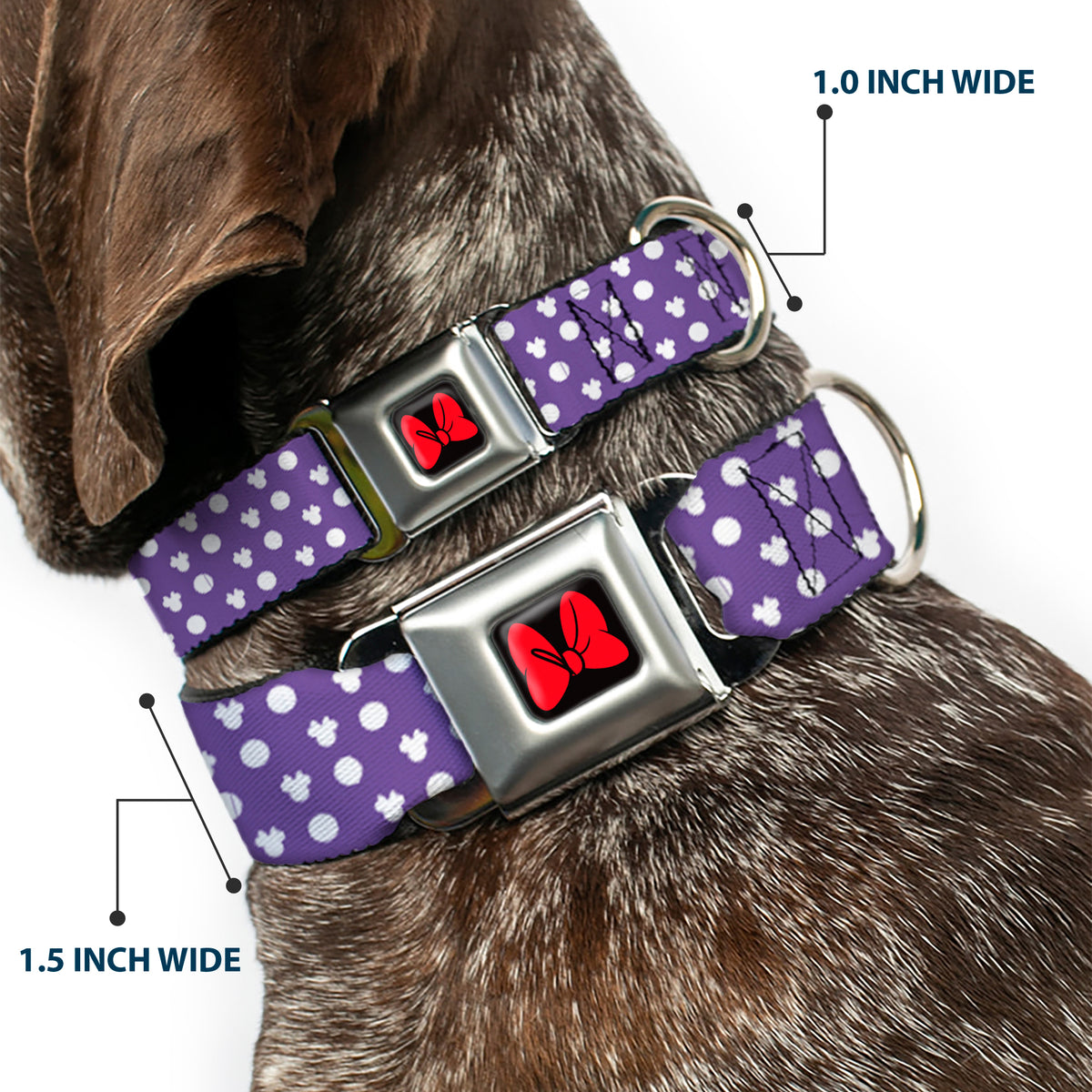 Dog Collar DYYR-Minnie Mouse Bow Full Color Black/Red - Minnie Mouse Ears Monogram/Dots Purple/White Dog Collars Seatbelt Buckle Disney