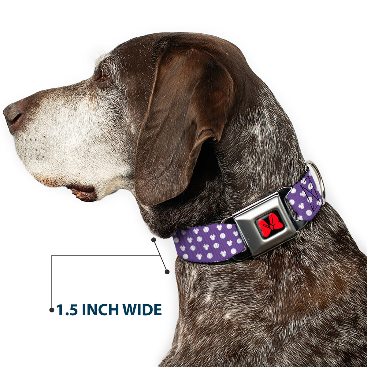Dog Collar DYYR-Minnie Mouse Bow Full Color Black/Red - Minnie Mouse Ears Monogram/Dots Purple/White Dog Collars Seatbelt Buckle Disney