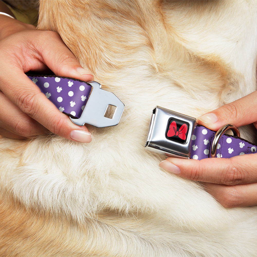Dog Collar DYYR-Minnie Mouse Bow Full Color Black/Red - Minnie Mouse Ears Monogram/Dots Purple/White Dog Collars Seatbelt Buckle Disney