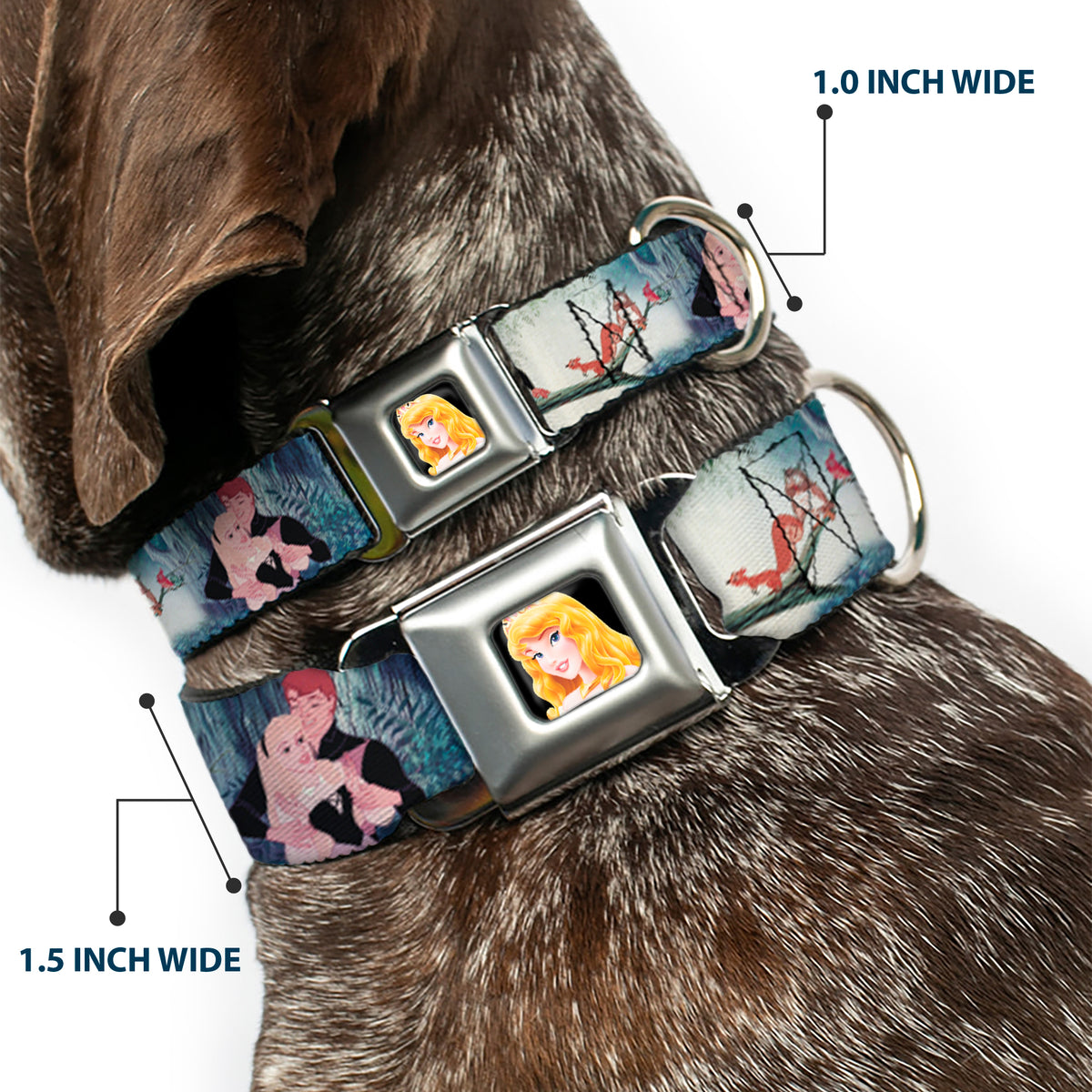 Sleeping Beauty Full Color Seatbelt Buckle Collar - Sleeping Beauty Woods Scenes Dog Collars Seatbelt Buckle Disney