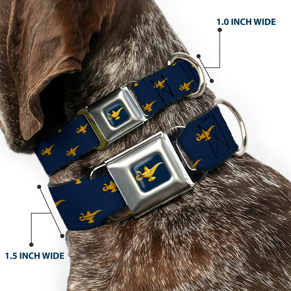 Aladdin 2019 Magic Lamp Full Color Navy/Golds Seatbelt Buckle Collar - Aladdin Genie Lamp Monogram Navy/Gold Dog Collars Seatbelt Buckle Disney