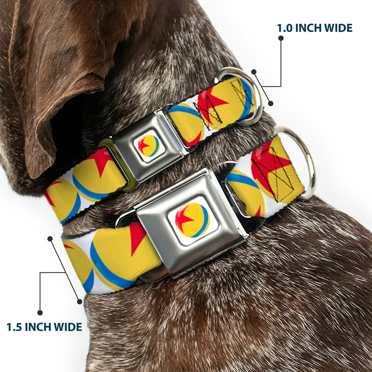 Disney Pixar Luxo Ball Full Color White/Yellow/Blue/Red Seatbelt Buckle Collar - Disney Pixar Luxo Ball Repeat White/Yellow/Blue/Red Dog Collars Seatbelt Buckle Disney