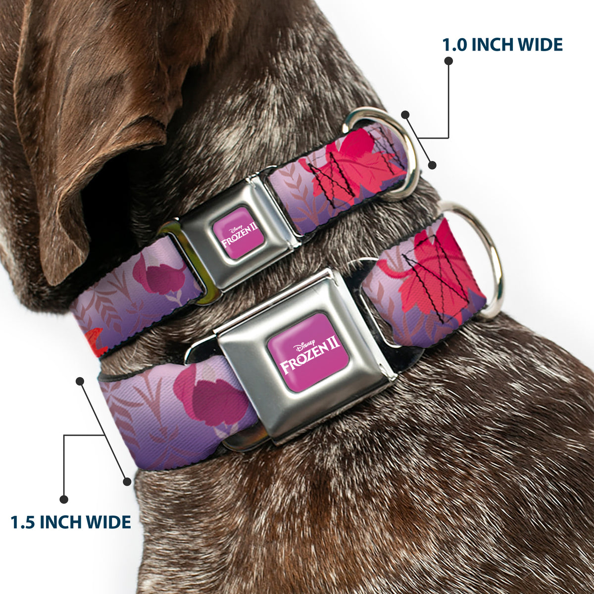 Disney FROZEN II Logo Full Color Purple/White Seatbelt Buckle Collar - Frozen II Swirling Leaves/Floral Trim Purples/Reds Dog Collars Seatbelt Buckle Disney