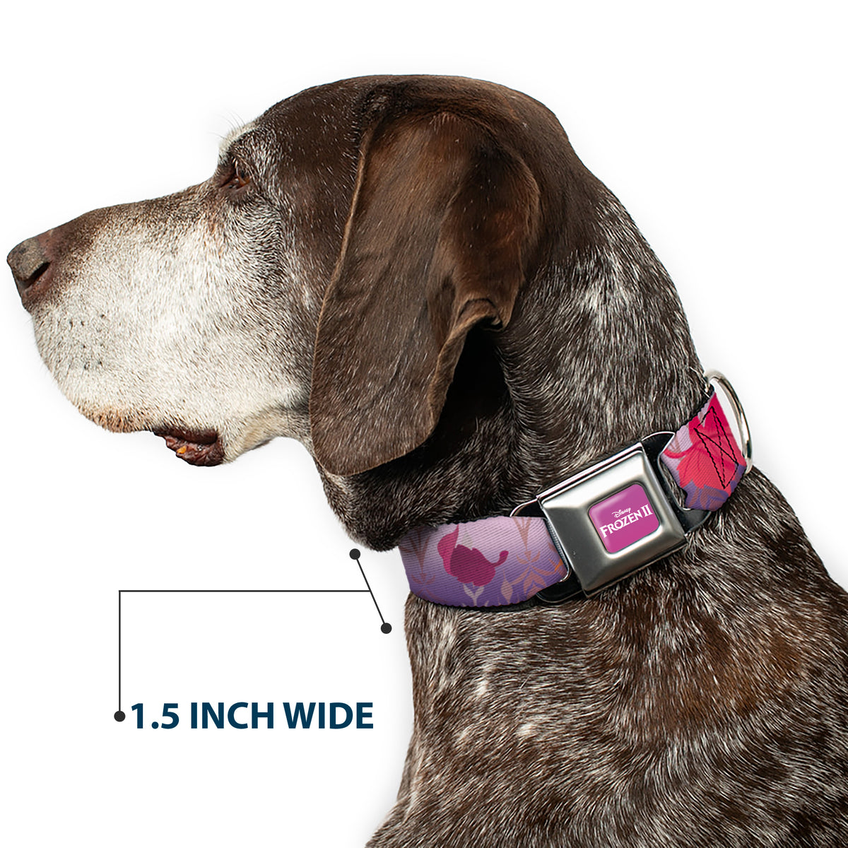 Disney FROZEN II Logo Full Color Purple/White Seatbelt Buckle Collar - Frozen II Swirling Leaves/Floral Trim Purples/Reds Dog Collars Seatbelt Buckle Disney