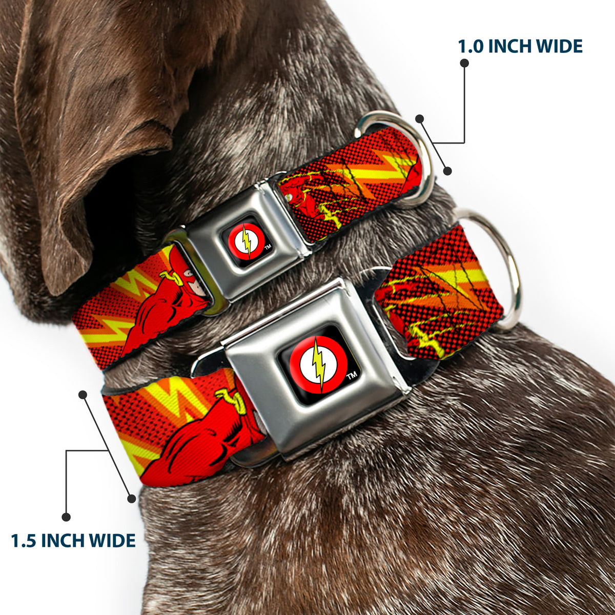 Flash Logo Black Seatbelt Buckle Collar - The Flash BOOM-KABOOM! Dog Collars Seatbelt Buckle DC Comics