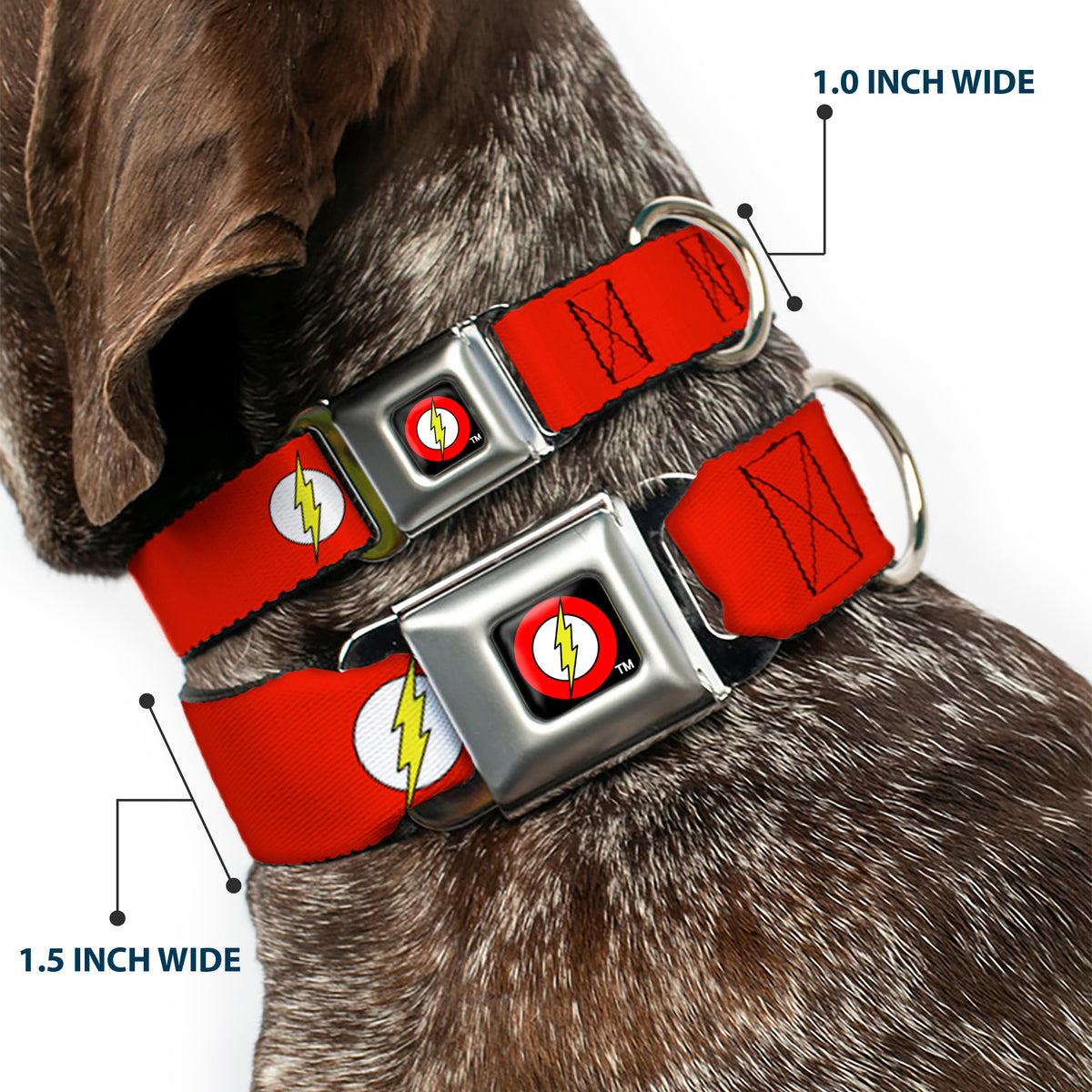Flash Logo Black Seatbelt Buckle Collar - Flash Logo Red/White/Yellow Dog Collars Seatbelt Buckle DC Comics