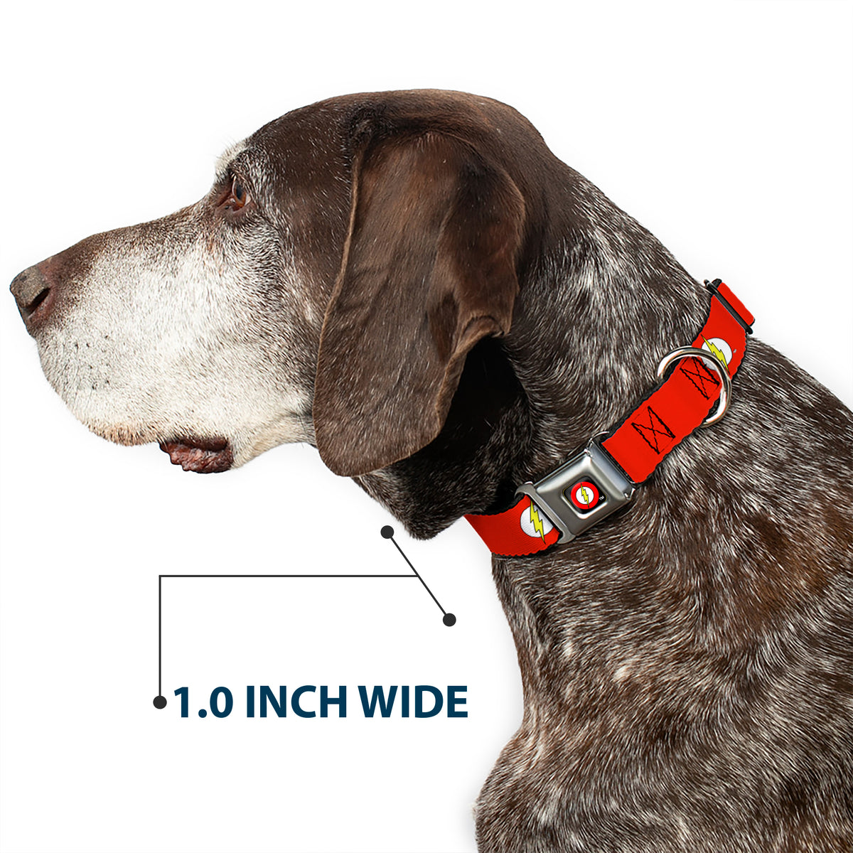 Flash Logo Black Seatbelt Buckle Collar - Flash Logo Red/White/Yellow Dog Collars Seatbelt Buckle DC Comics