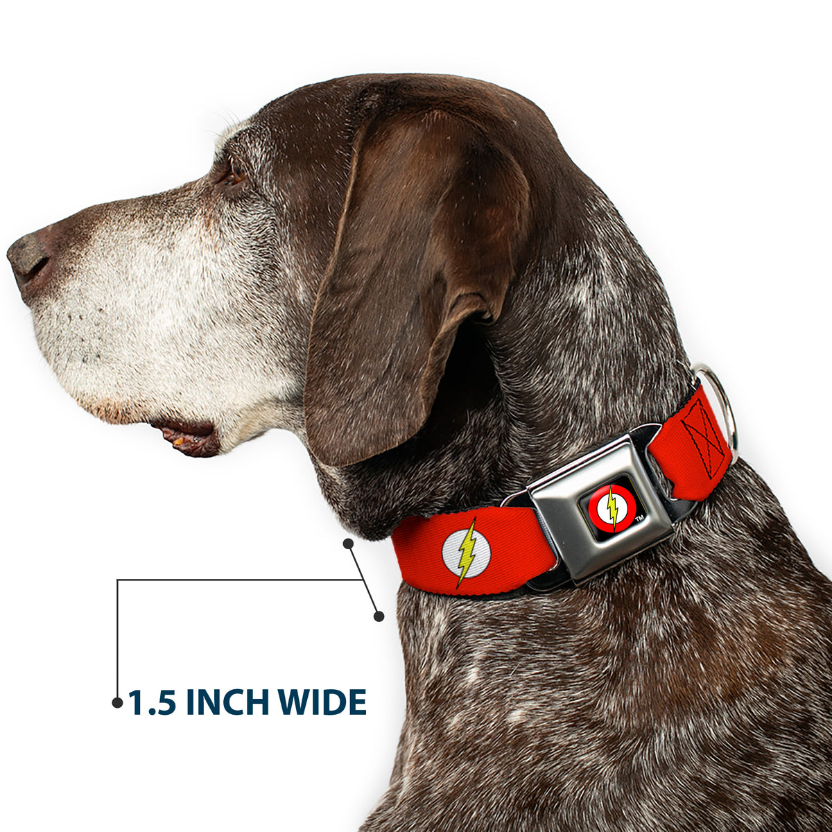 Flash Logo Black Seatbelt Buckle Collar - Flash Logo Red/White/Yellow Dog Collars Seatbelt Buckle DC Comics