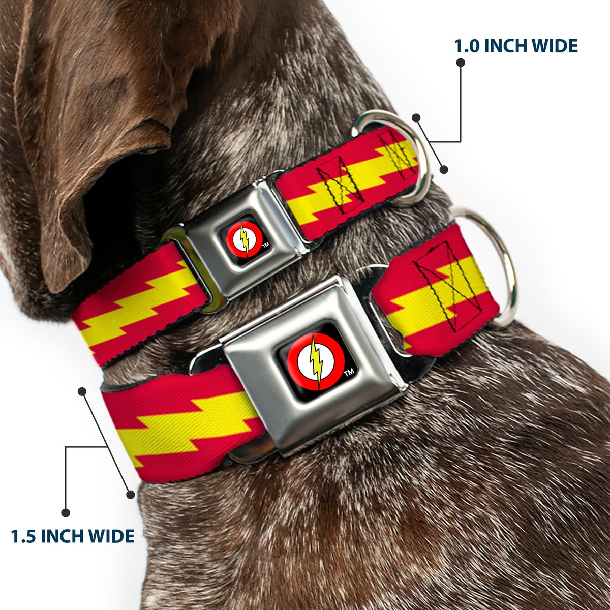Flash Logo Black Seatbelt Buckle Collar - The Flash Bolt Stripe Red/Yellow Dog Collars Seatbelt Buckle DC Comics