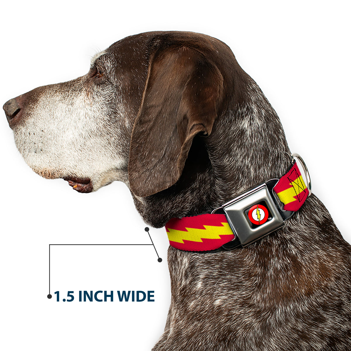 Flash Logo Black Seatbelt Buckle Collar - The Flash Bolt Stripe Red/Yellow Dog Collars Seatbelt Buckle DC Comics