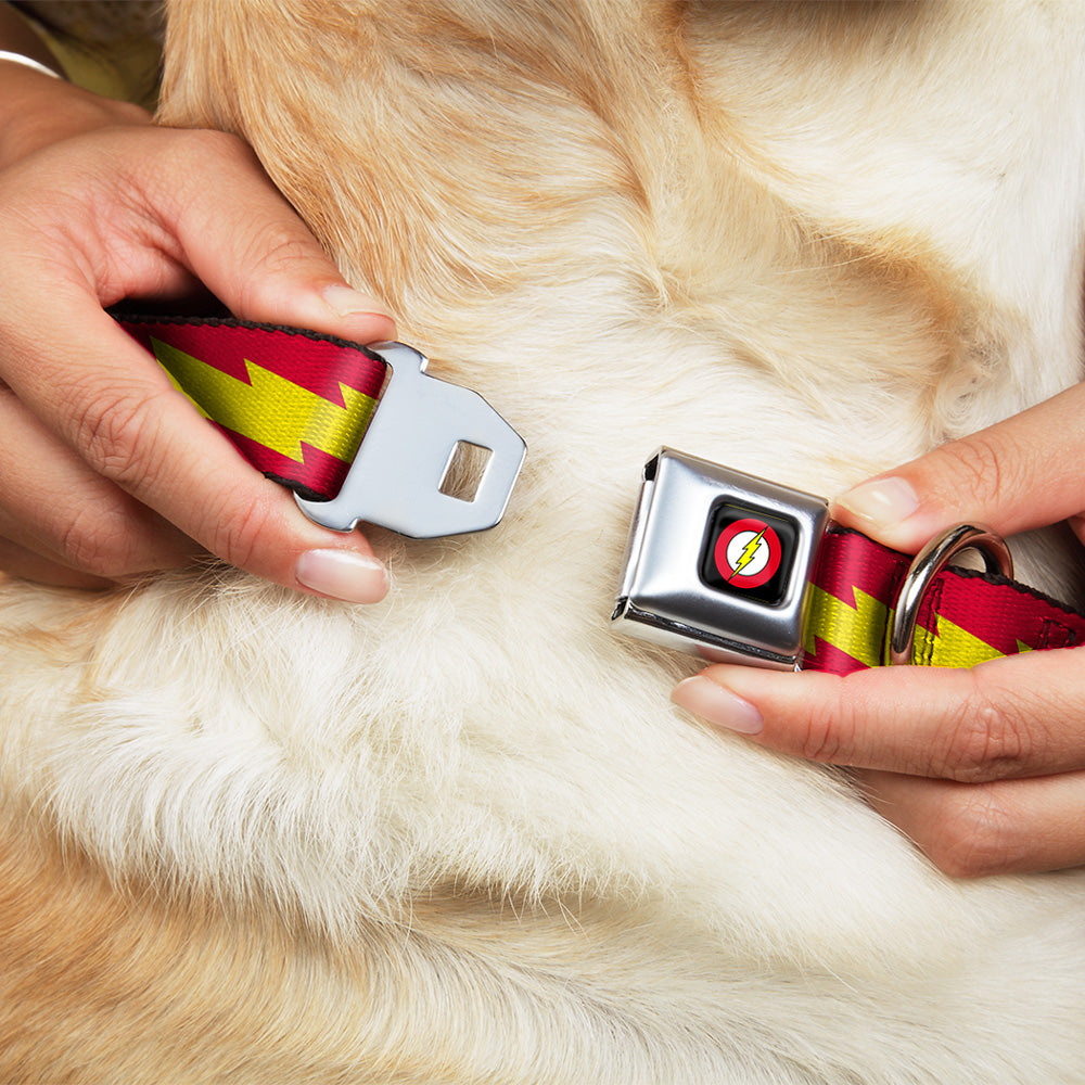 Flash Logo Black Seatbelt Buckle Collar - The Flash Bolt Stripe Red/Yellow Dog Collars Seatbelt Buckle DC Comics