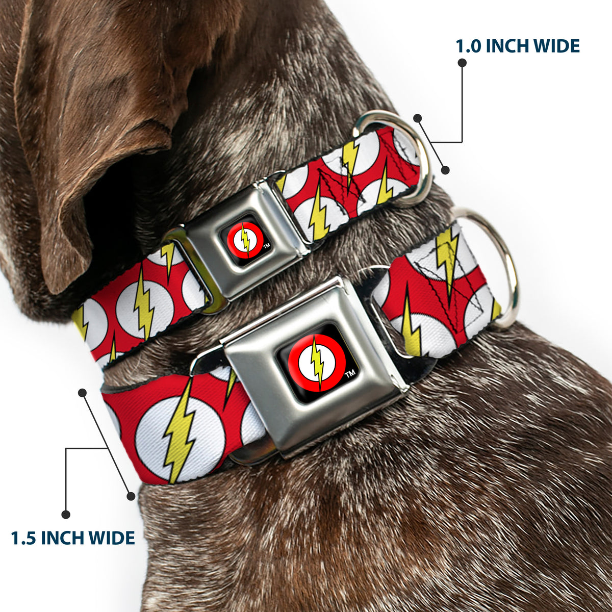 Flash Logo Black Seatbelt Buckle Collar - Flash Logo Scattered Red/White/Yellow Dog Collars Seatbelt Buckle DC Comics