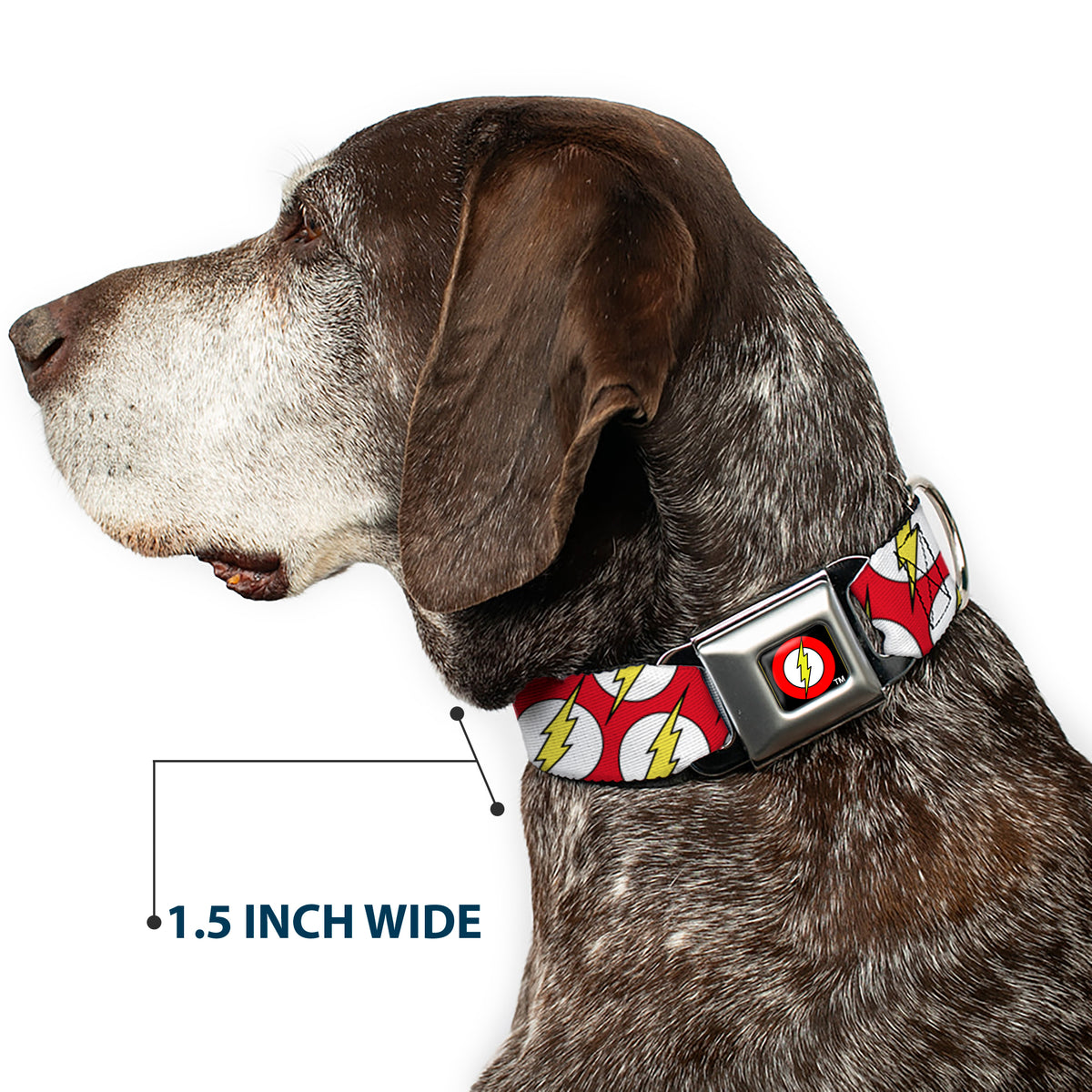Flash Logo Black Seatbelt Buckle Collar - Flash Logo Scattered Red/White/Yellow Dog Collars Seatbelt Buckle DC Comics