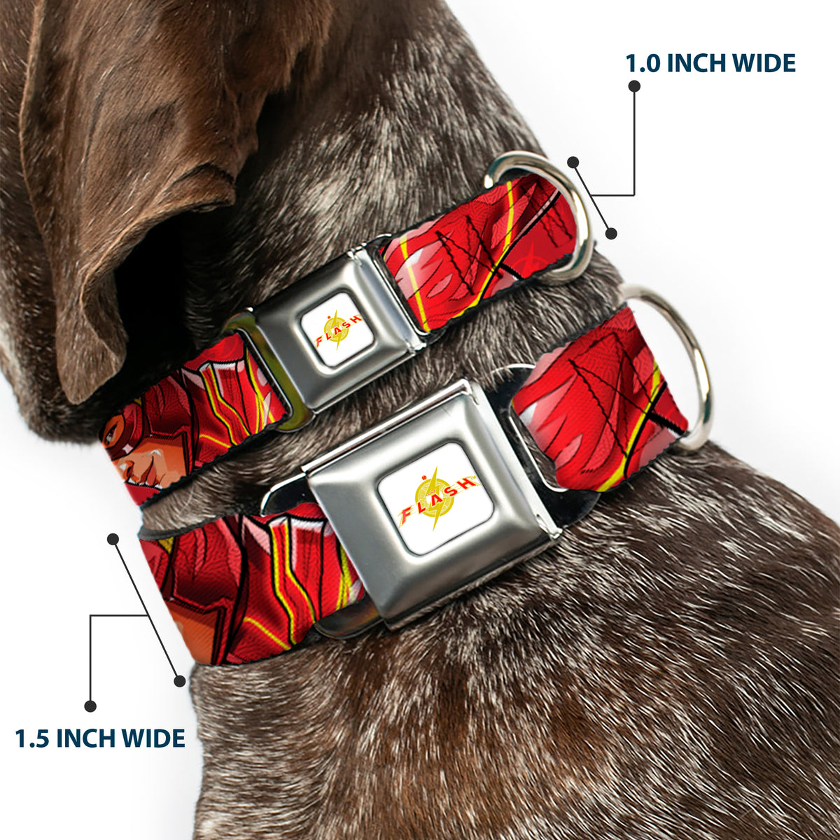 Flash 2023 Title Logo Full Color White/Yellow/Red Seatbelt Buckle Collar - The Flash 2023 2-Poses Close-Up Reds Dog Collars Seatbelt Buckle DC Comics