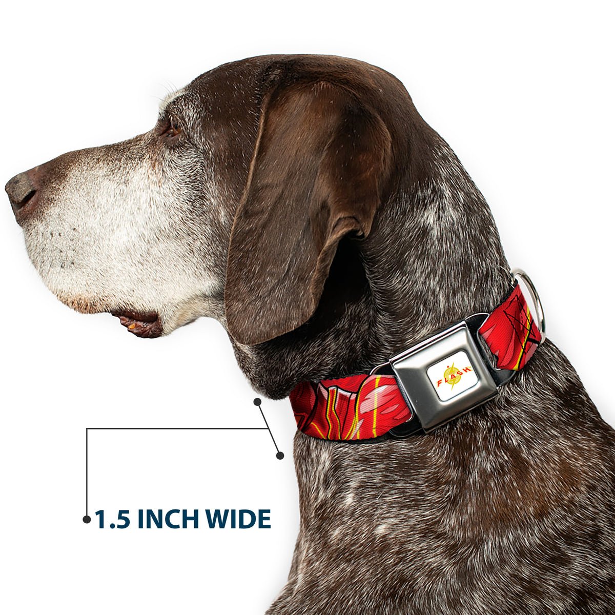 Flash 2023 Title Logo Full Color White/Yellow/Red Seatbelt Buckle Collar - The Flash 2023 2-Poses Close-Up Reds Dog Collars Seatbelt Buckle DC Comics
