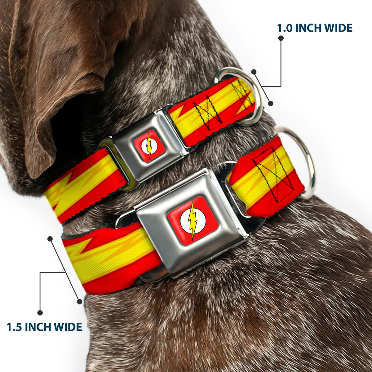 Flash Logo Full Color Red White Yellow Seatbelt Buckle Collar - The Flash Bolt Stripe Reds/Yellows Dog Collars Seatbelt Buckle DC Comics