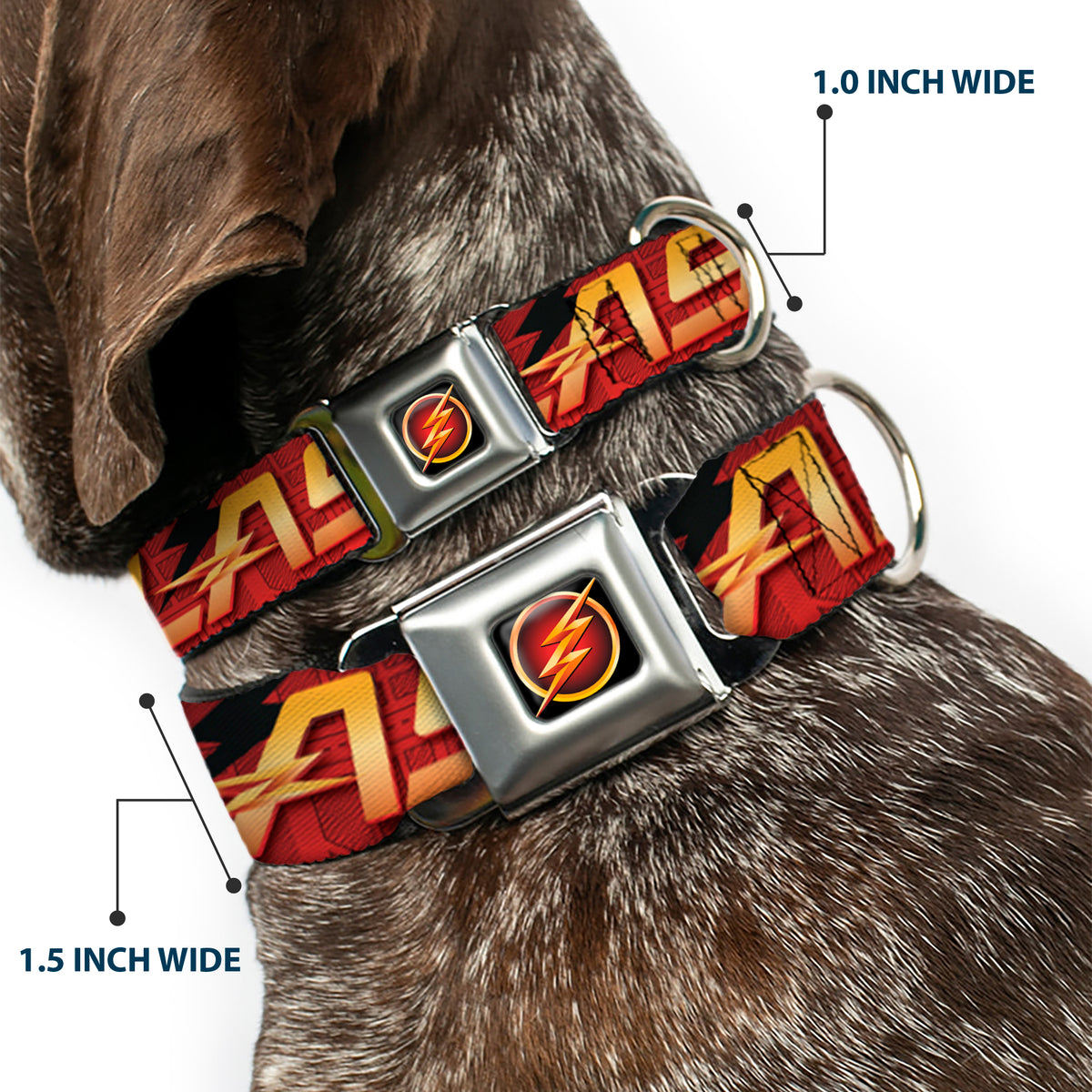 Flash Logo3 Full Color Black Gold Red Seatbelt Buckle Collar - THE FLASH/Logo3/Poses Black/Red/Gold Dog Collars Seatbelt Buckle DC Comics