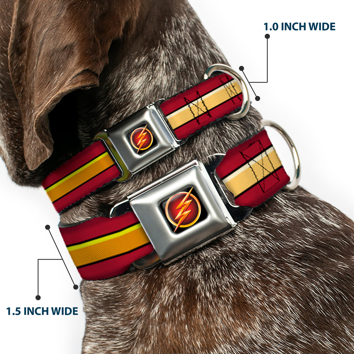 Flash Logo3 Black/Gold/Red Seatbelt Buckle Collar - The Flash Stripe Burgundy/Gold Dog Collars Seatbelt Buckle DC Comics