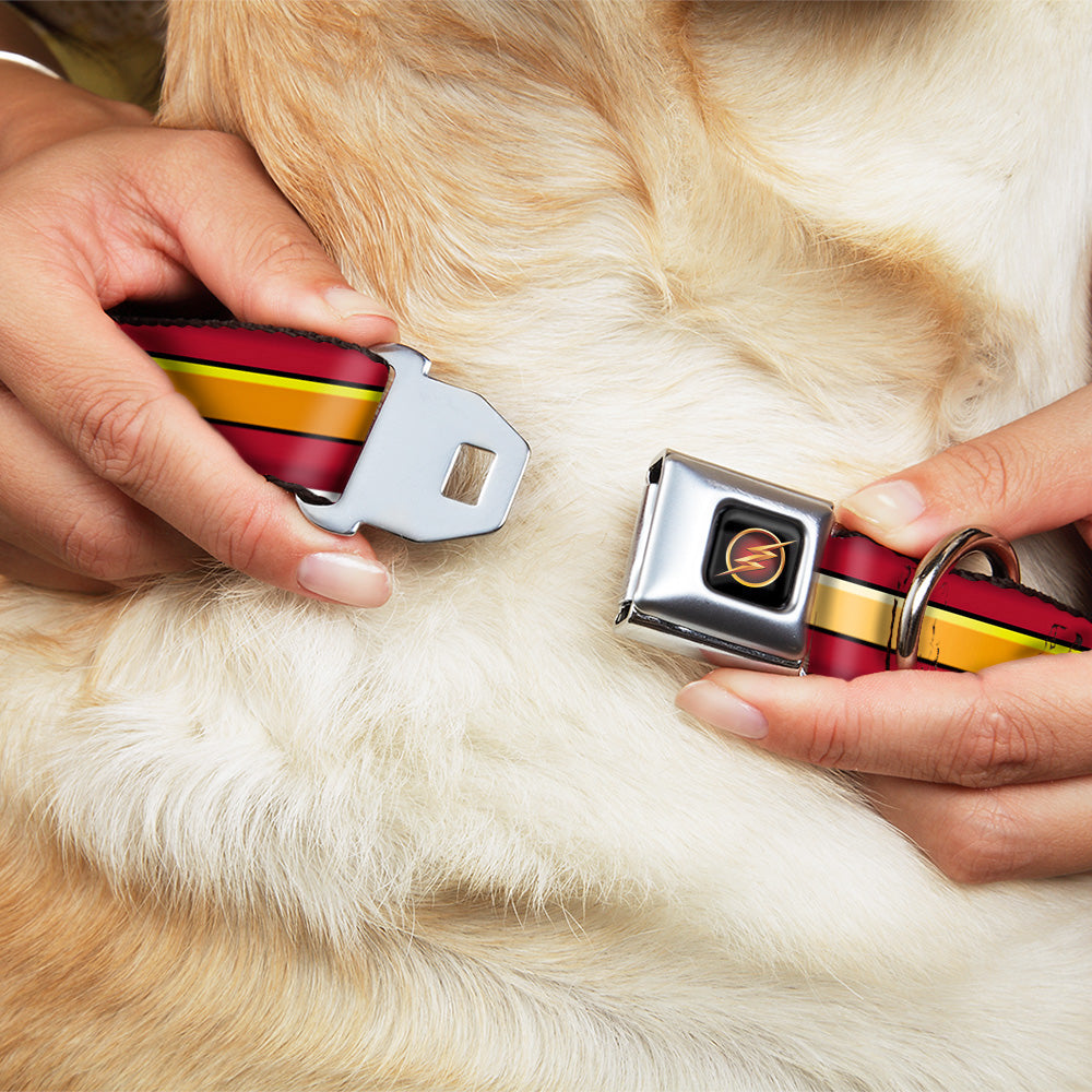 Flash Logo3 Black/Gold/Red Seatbelt Buckle Collar - The Flash Stripe Burgundy/Gold Dog Collars Seatbelt Buckle DC Comics