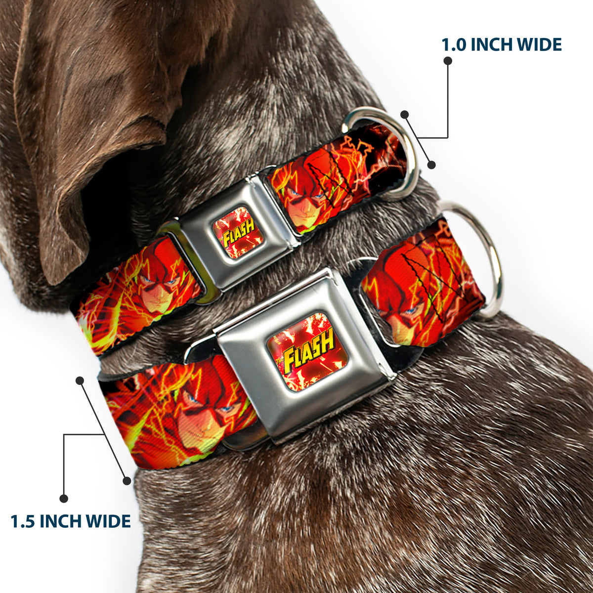 Dog Collar FLJ-THE FLASH Charge - THE FLASH Super Charged Running Pose Dog Collars Seatbelt Buckle DC Comics