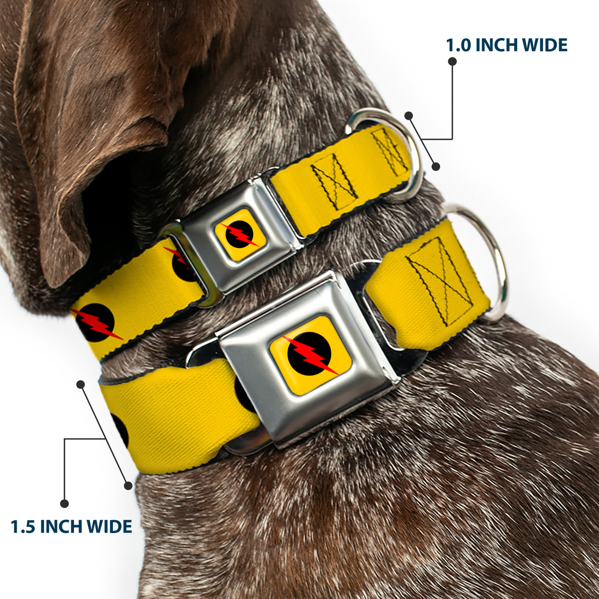 Reverse Flash Logo Full Color Golden Yellow Black Red Seatbelt Buckle Collar - Reverse Flash Logo Golden Yellow/Black/Red Dog Collars Seatbelt Buckle DC Comics