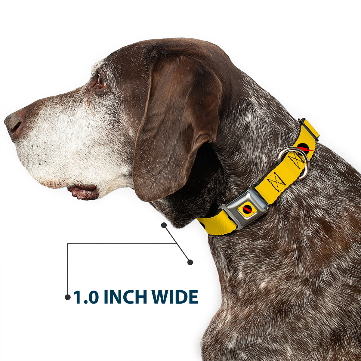 Reverse Flash Logo Full Color Golden Yellow Black Red Seatbelt Buckle Collar - Reverse Flash Logo Golden Yellow/Black/Red Dog Collars Seatbelt Buckle DC Comics