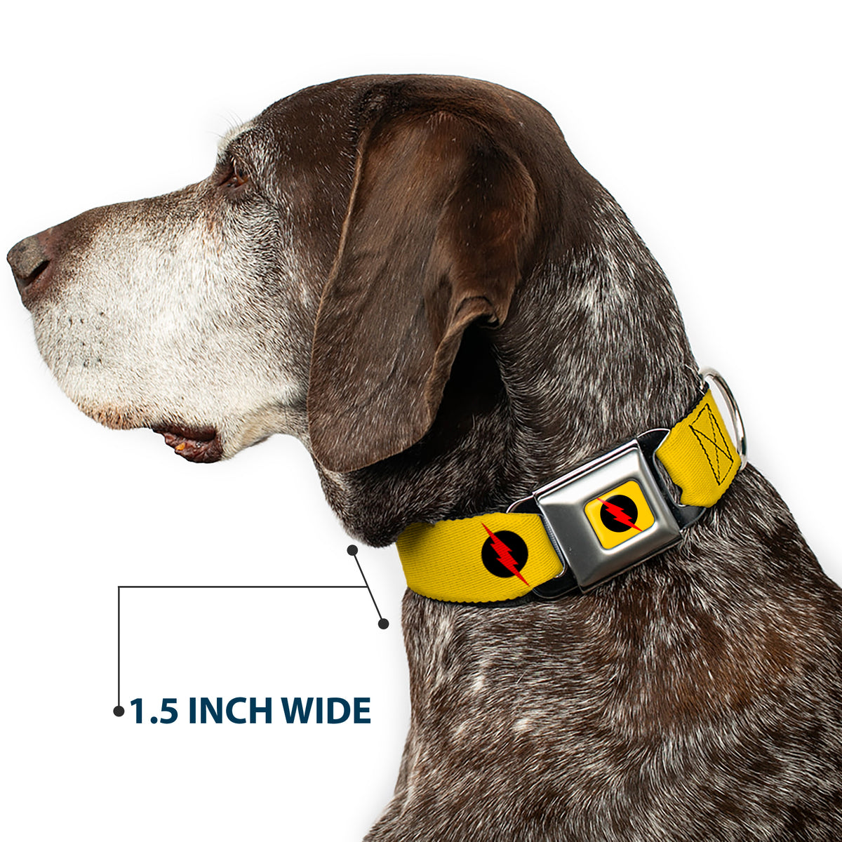 Reverse Flash Logo Full Color Golden Yellow Black Red Seatbelt Buckle Collar - Reverse Flash Logo Golden Yellow/Black/Red Dog Collars Seatbelt Buckle DC Comics