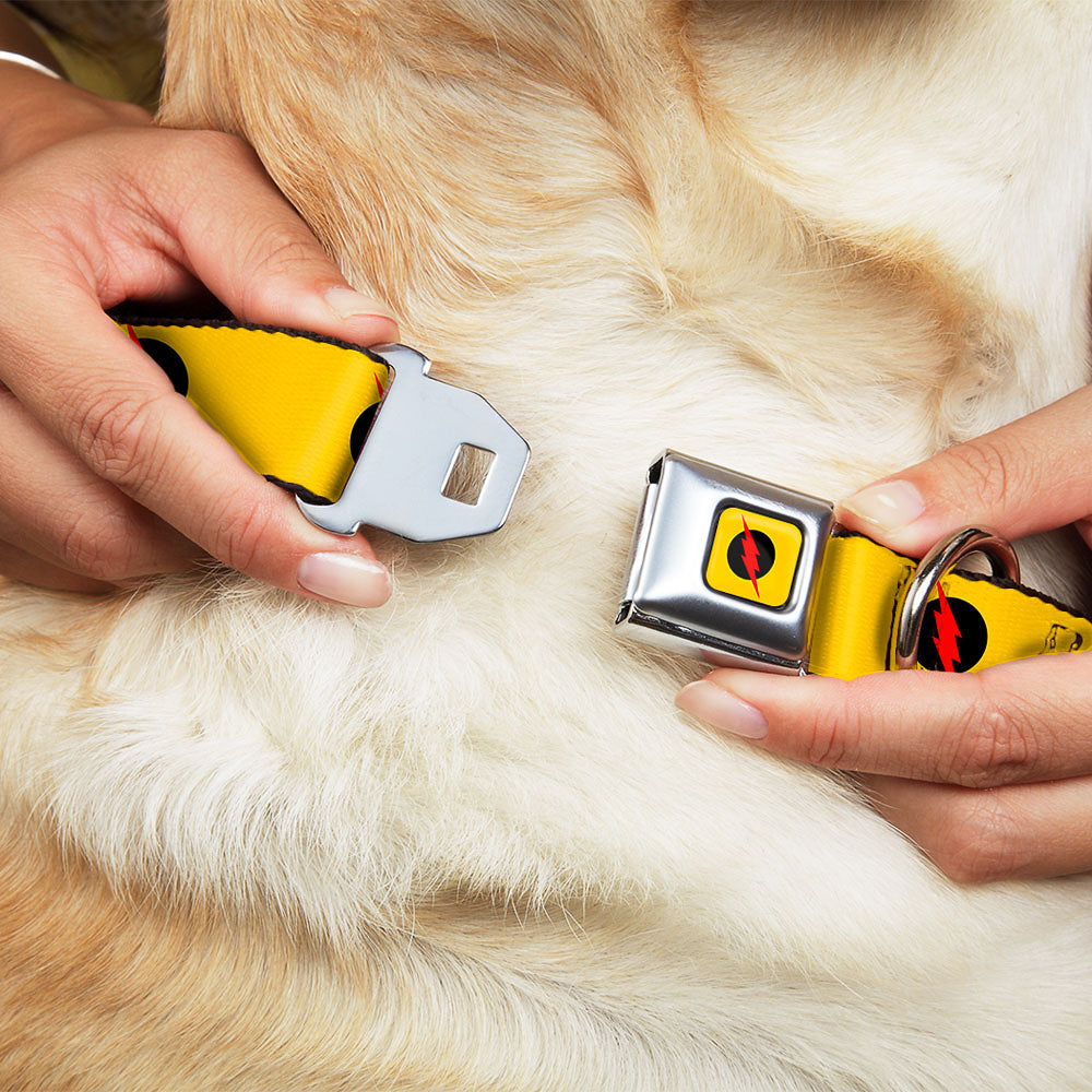 Reverse Flash Logo Full Color Golden Yellow Black Red Seatbelt Buckle Collar - Reverse Flash Logo Golden Yellow/Black/Red Dog Collars Seatbelt Buckle DC Comics