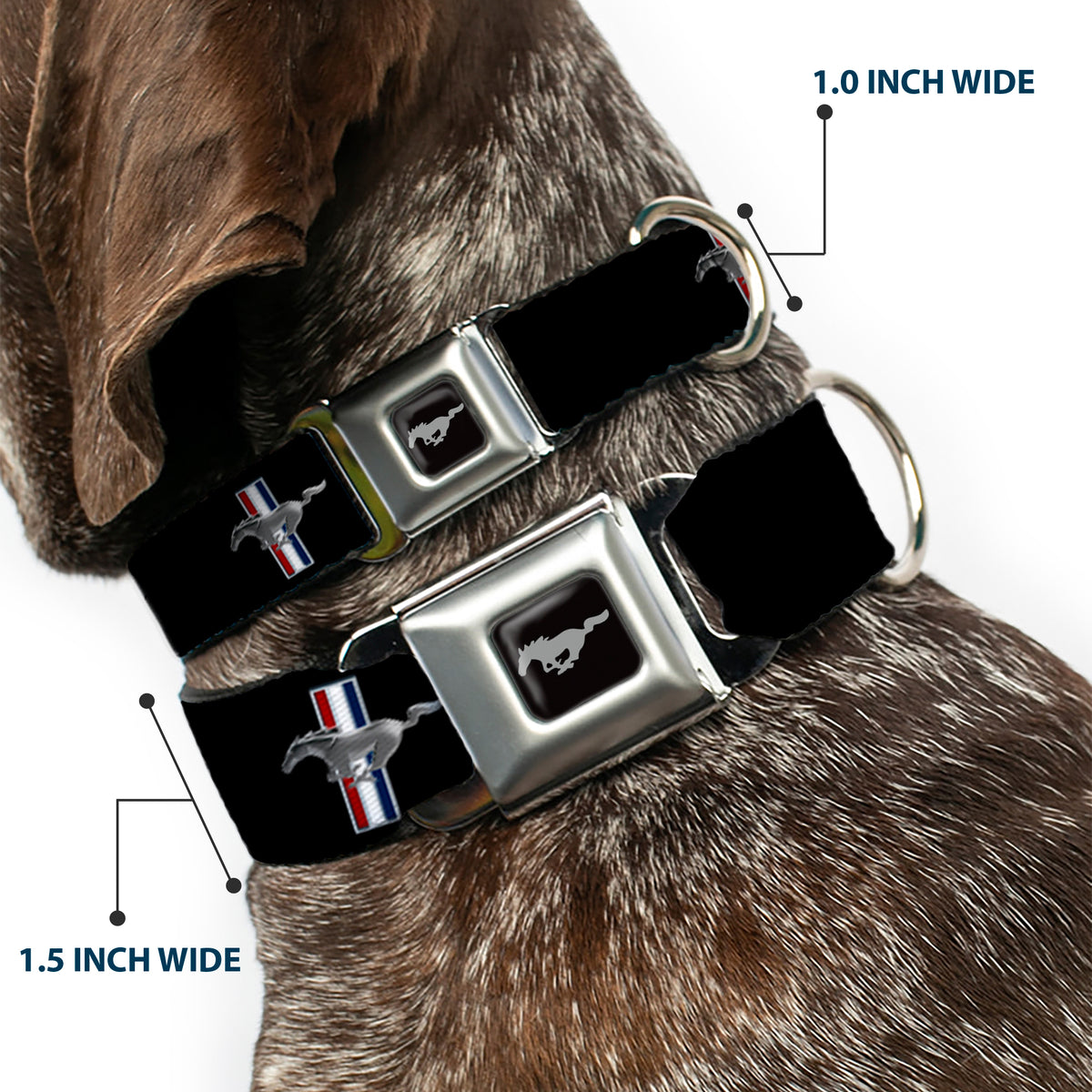 Ford Mustang Emblem Seatbelt Buckle Collar - Ford Mustang w/Bars Logo REPEAT Dog Collars Seatbelt Buckle Ford