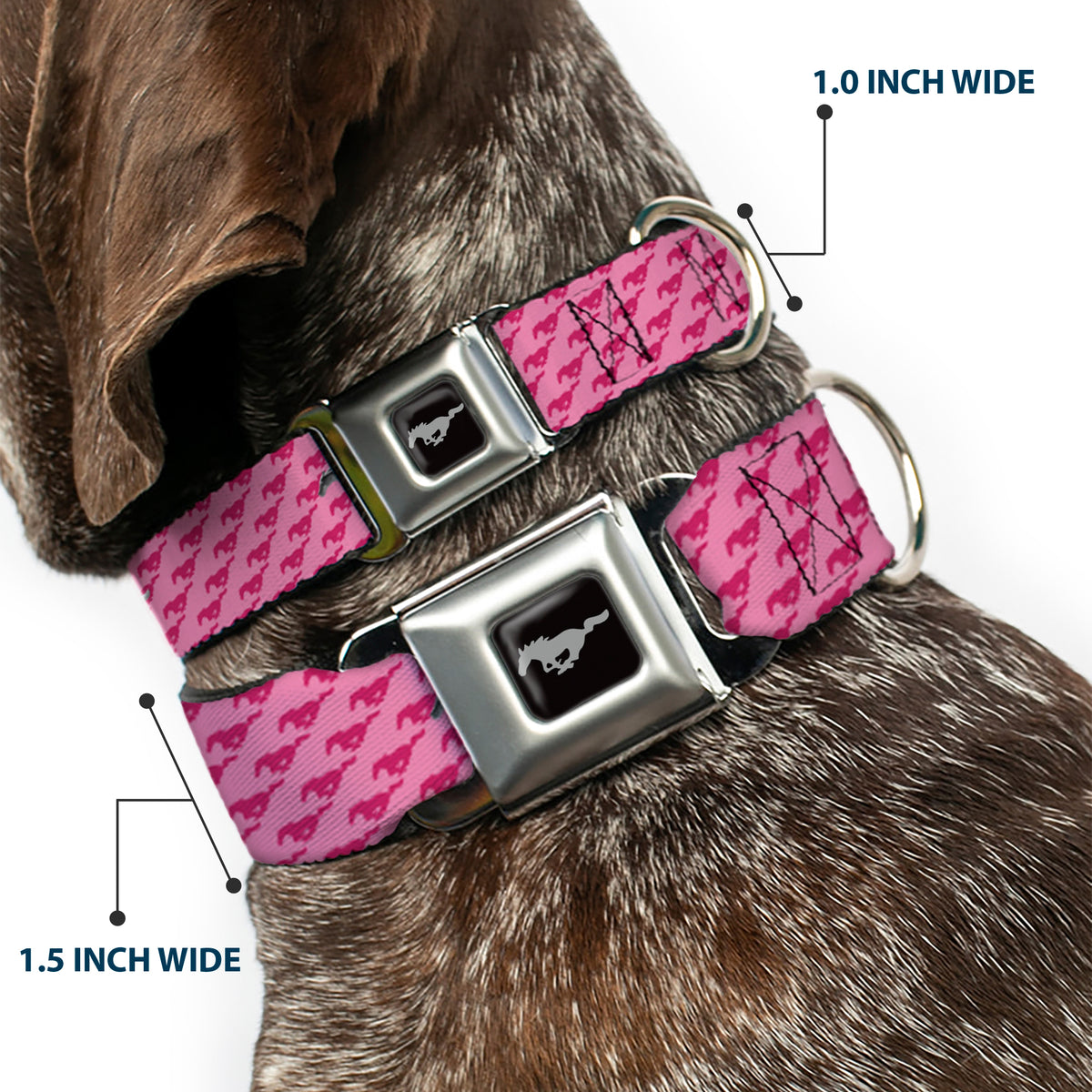 Ford Mustang Emblem Seatbelt Buckle Collar - Ford Mustang w/Bars w/Text PINK LOGO REPEAT Dog Collars Seatbelt Buckle Ford