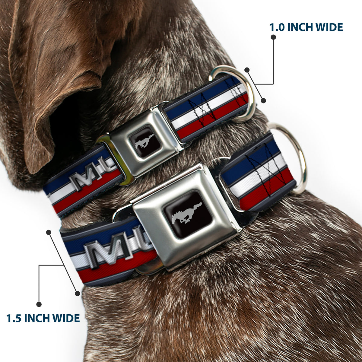 Ford Mustang Emblem Seatbelt Buckle Collar - Mustang/Text w/Tri-Bar Stripe Dog Collars Seatbelt Buckle Ford