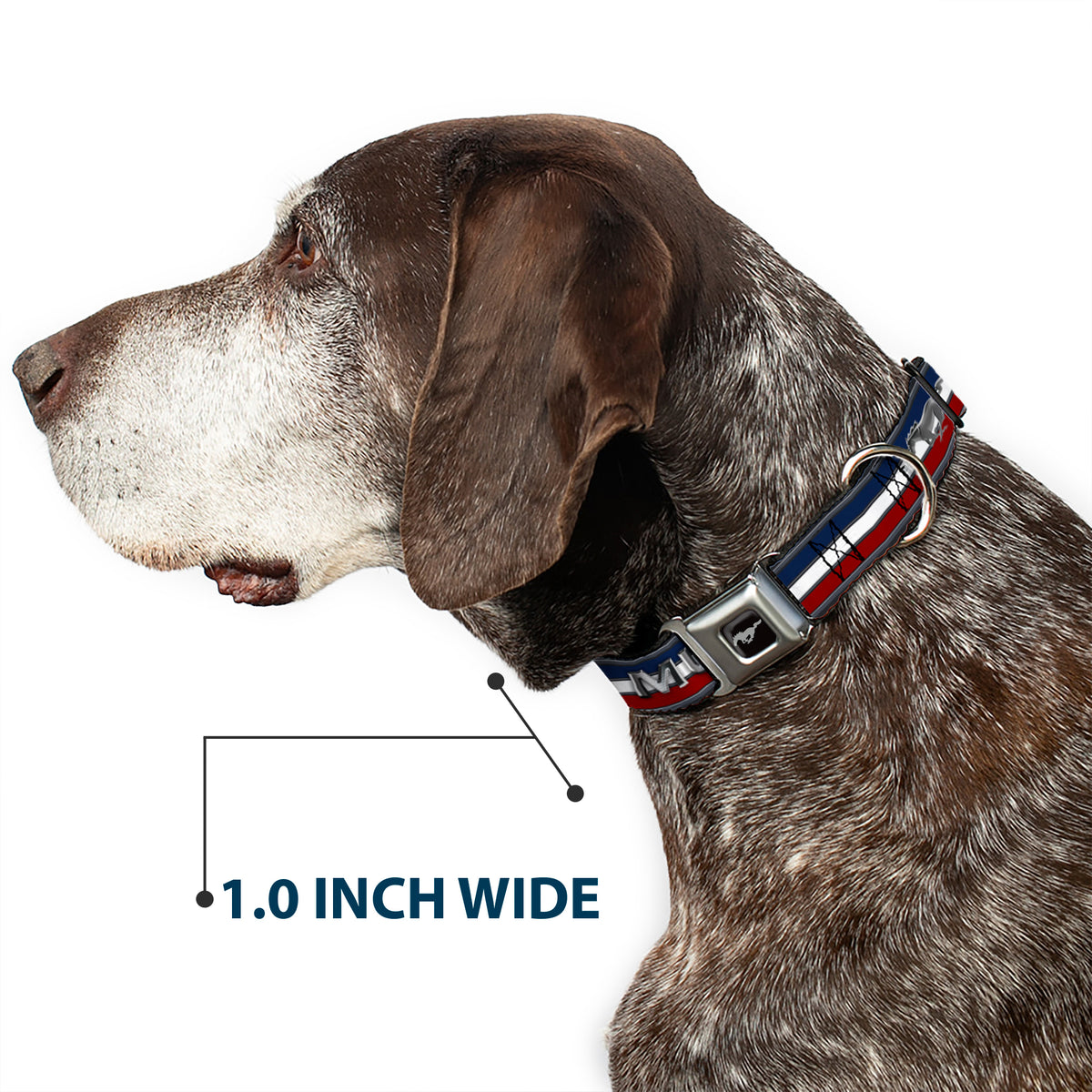 Ford Mustang Emblem Seatbelt Buckle Collar - Mustang/Text w/Tri-Bar Stripe Dog Collars Seatbelt Buckle Ford