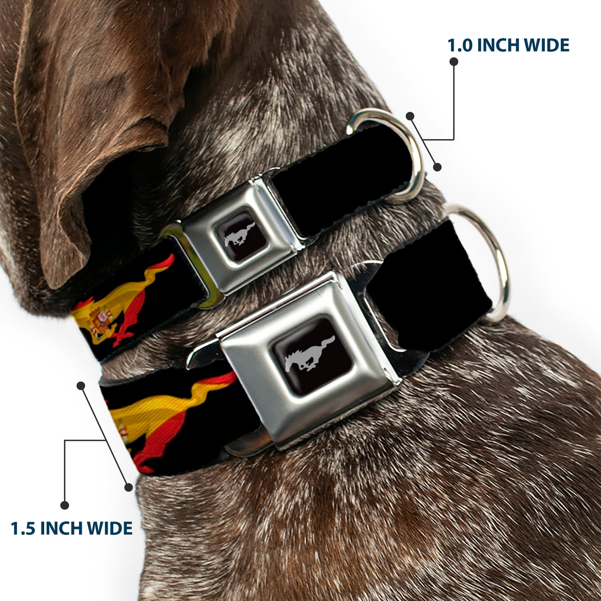 Ford Mustang Emblem Seatbelt Buckle Collar - Mustang Silhouette Black/International Flags Dog Collars Seatbelt Buckle Ford