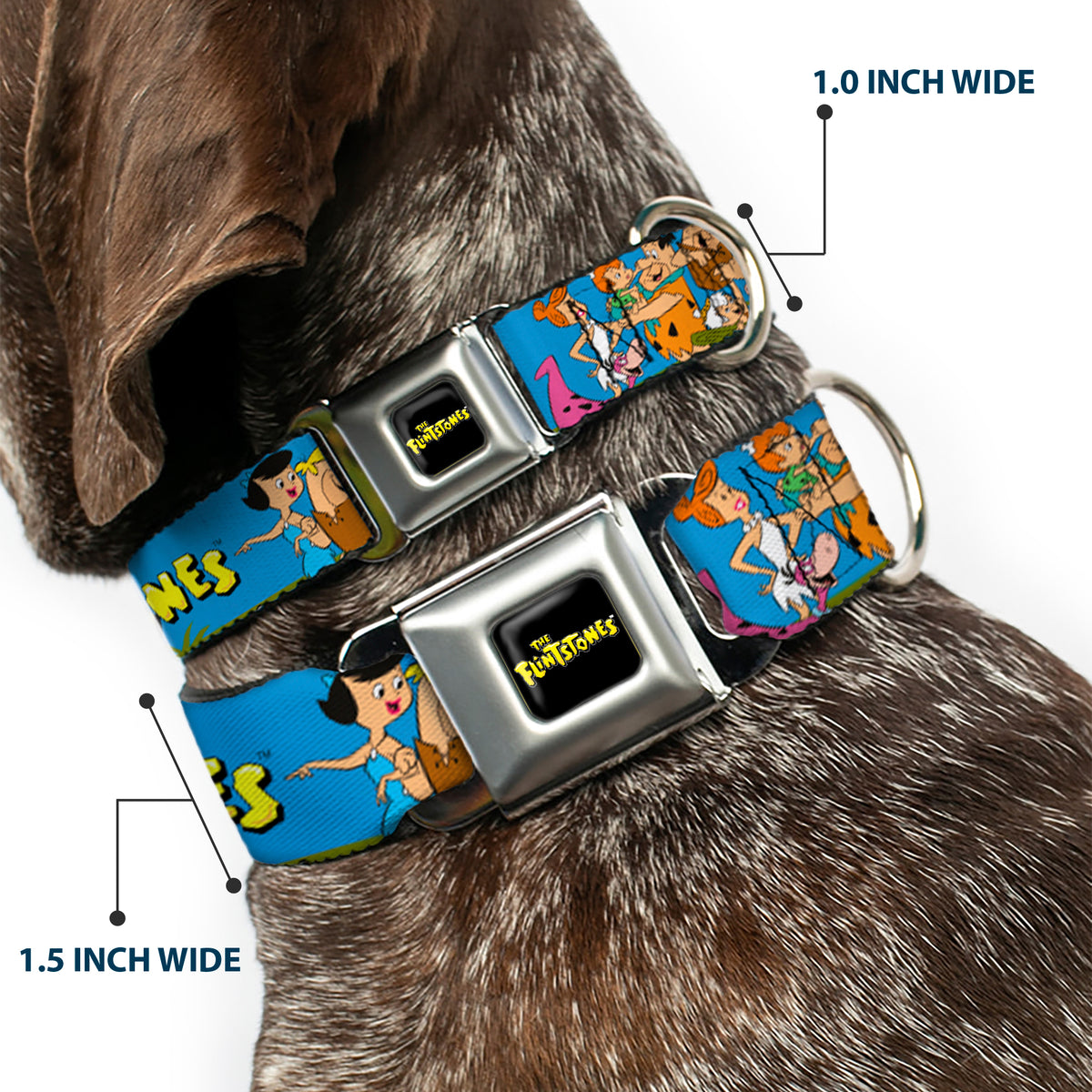 THE FLINTSTONES Logo Full Color Black Yellow Seatbelt Buckle Collar - The Flintstones and Rubbles Group Pose/Logo Blue Dog Collars Seatbelt Buckle The Flintstones