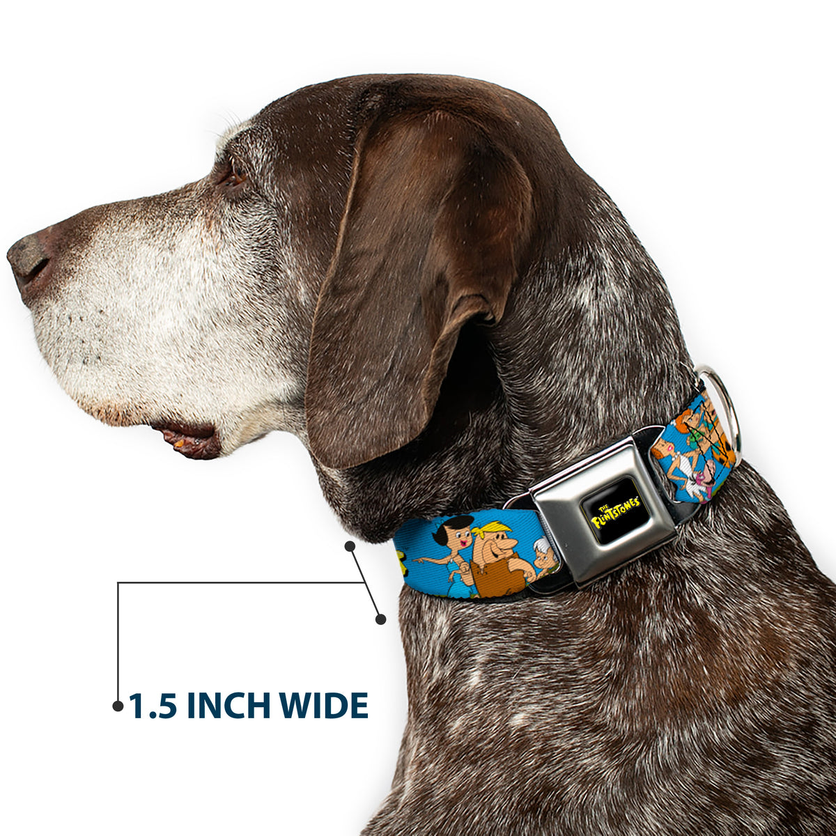 THE FLINTSTONES Logo Full Color Black Yellow Seatbelt Buckle Collar - The Flintstones and Rubbles Group Pose/Logo Blue Dog Collars Seatbelt Buckle The Flintstones
