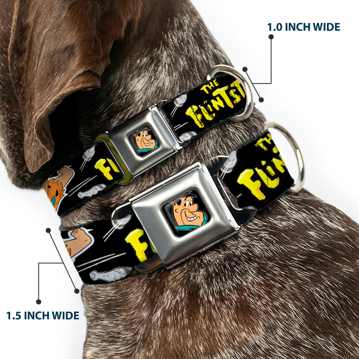 Fred Face Full Color Black Seatbelt Buckle Collar - Dog Collar FSE-Fred Face Full Color Black - THE FLINTSTONES Fred Bowling Poses/Bowling Pins Black Dog Collars Seatbelt Buckle The Flintstones