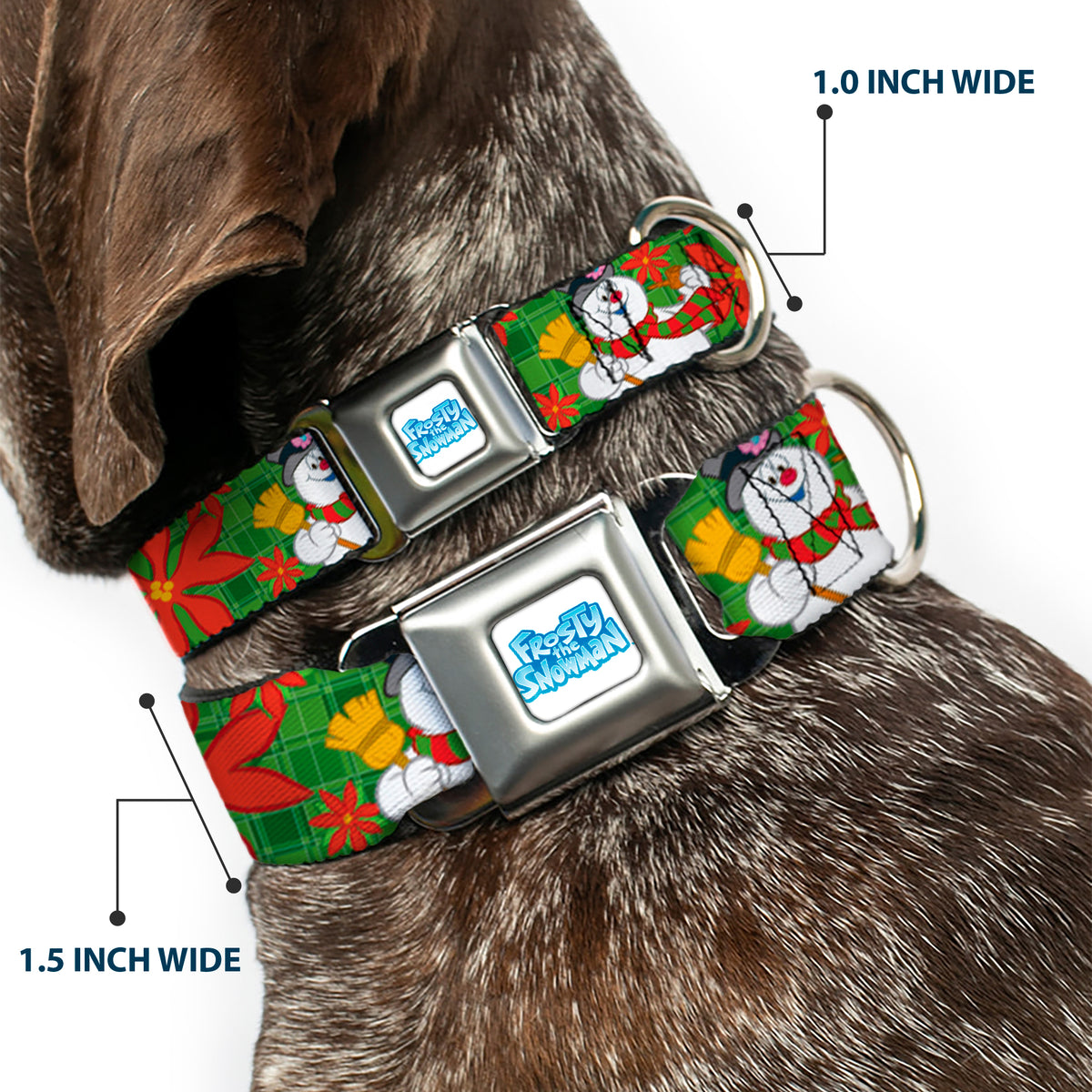 FROSTY THE SNOWMAN Logo Full Color White/Blues Seatbelt Buckle Collar - Frosty the Snowman Pose Poinsetta Plaid Collage Greens/Reds Dog Collars Seatbelt Buckle Frosty the Snowman