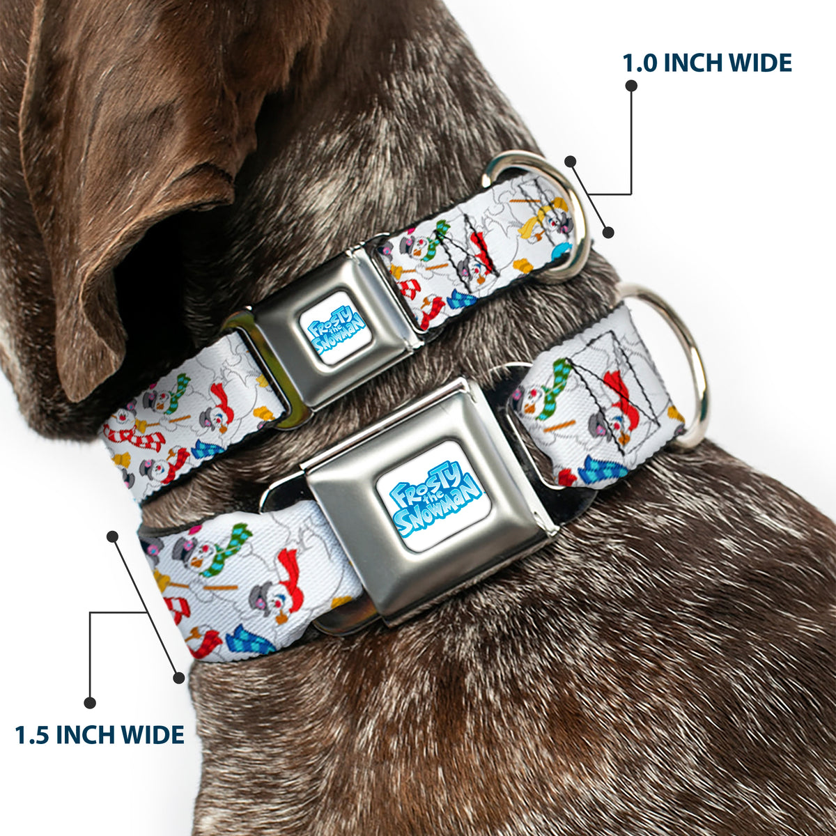 FROSTY THE SNOWMAN Logo Full Color White/Blues Seatbelt Buckle Collar - Frosty the Snowman Pose Scattered White Dog Collars Seatbelt Buckle Frosty the Snowman